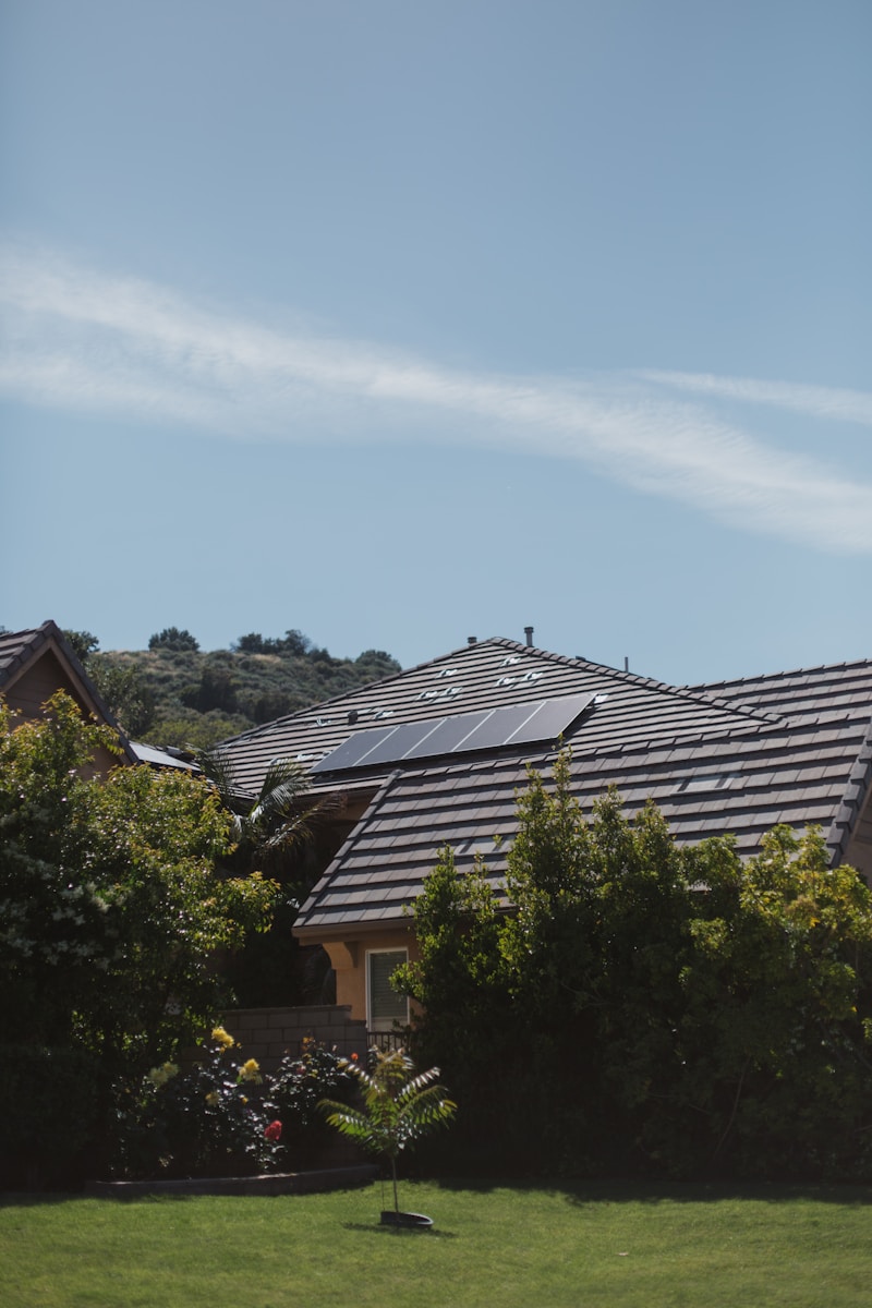 Photo by Vivint Solar tree beside house under clear sky